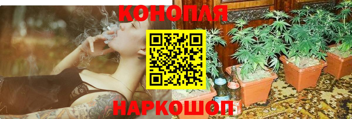 Канабис Bruce Banner Бузулук